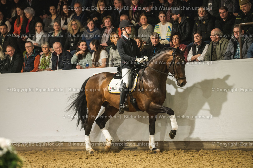 20240302_Hengstvorstellung_Marbach_TOMsPiC_1241-2 | equistock