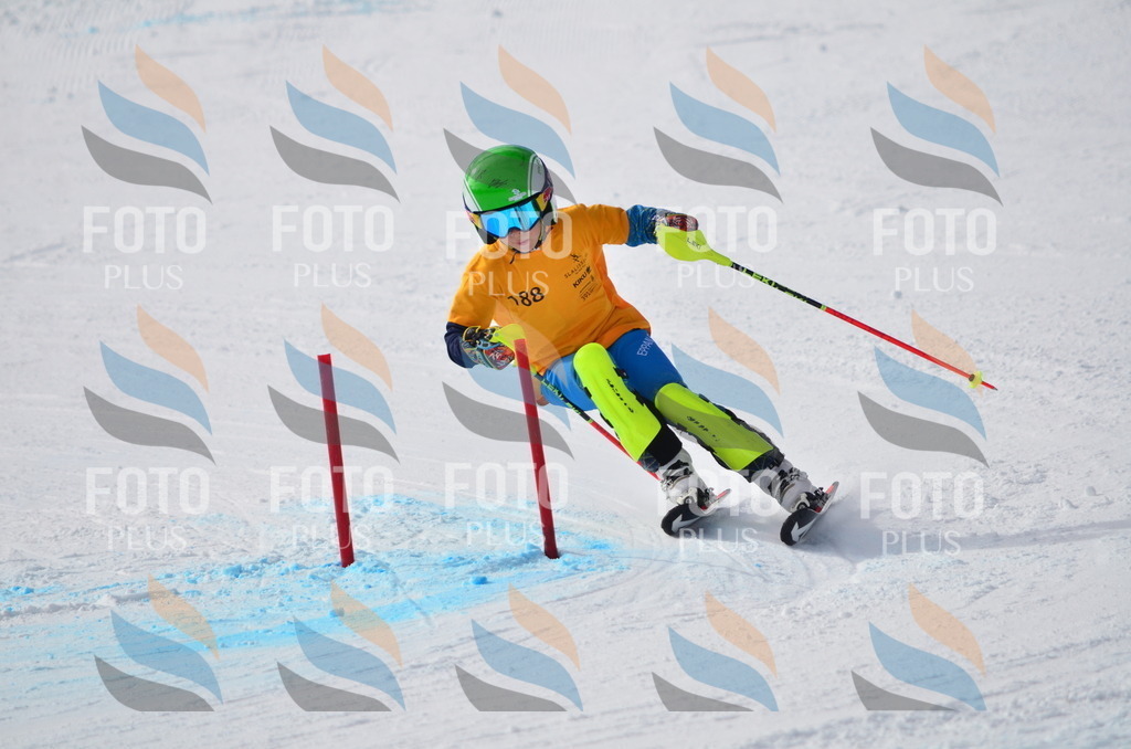 C8043 | holidayphoto