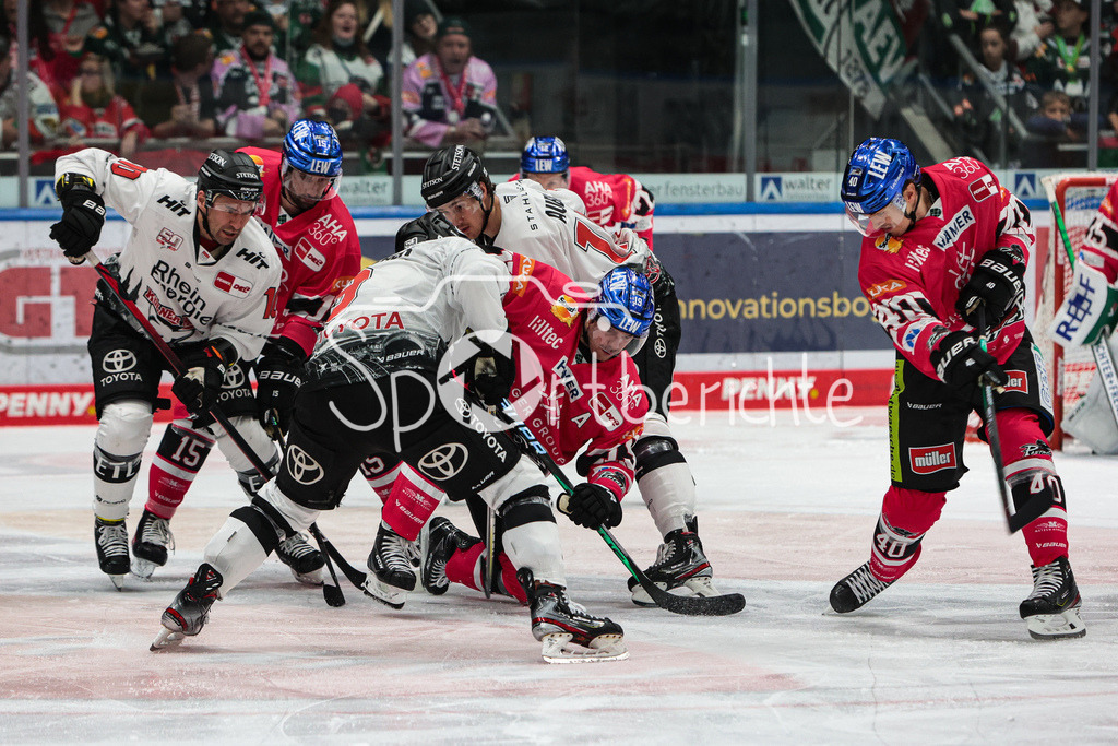 Augsburger Panther - Koelner Haie  | Heisse Duelle in Augsburg wie hier bei eiem Bully vor dem Tor der hausherren