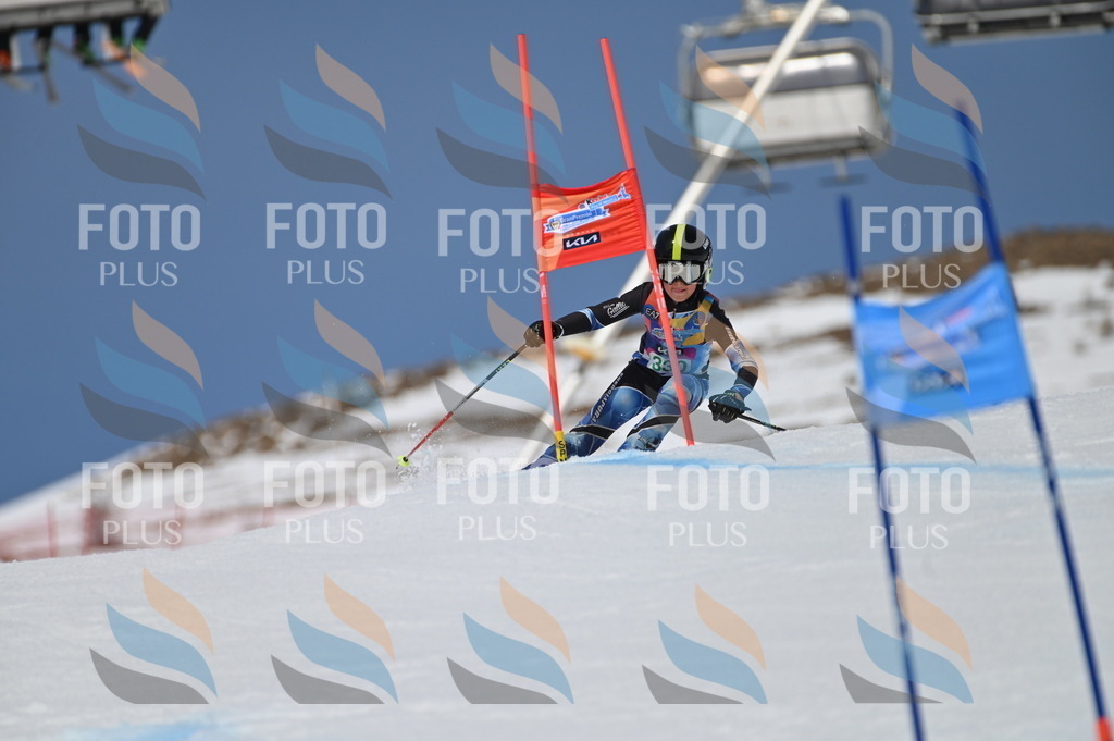 BGV_6534 | holidayphoto