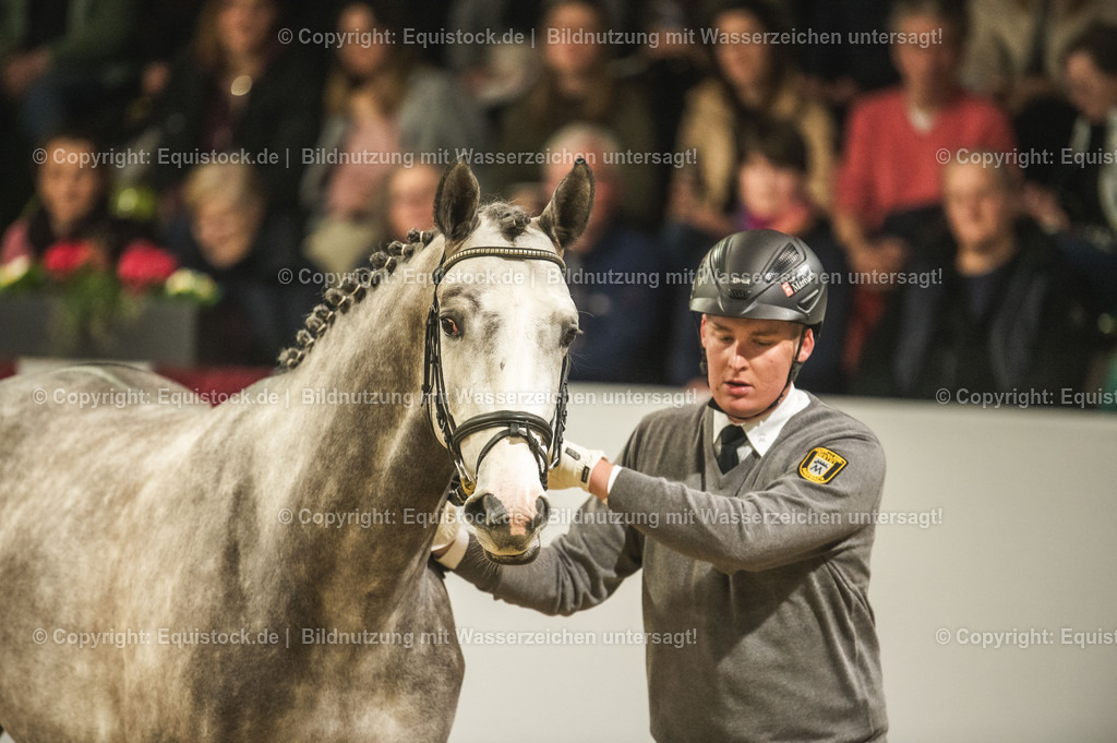 20240302_Hengstvorstellung_Marbach_TOMsPiC_0972-2 | equistock