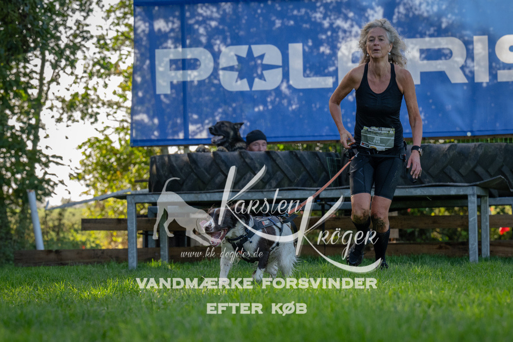 1129-92113 | kk-dogfotos