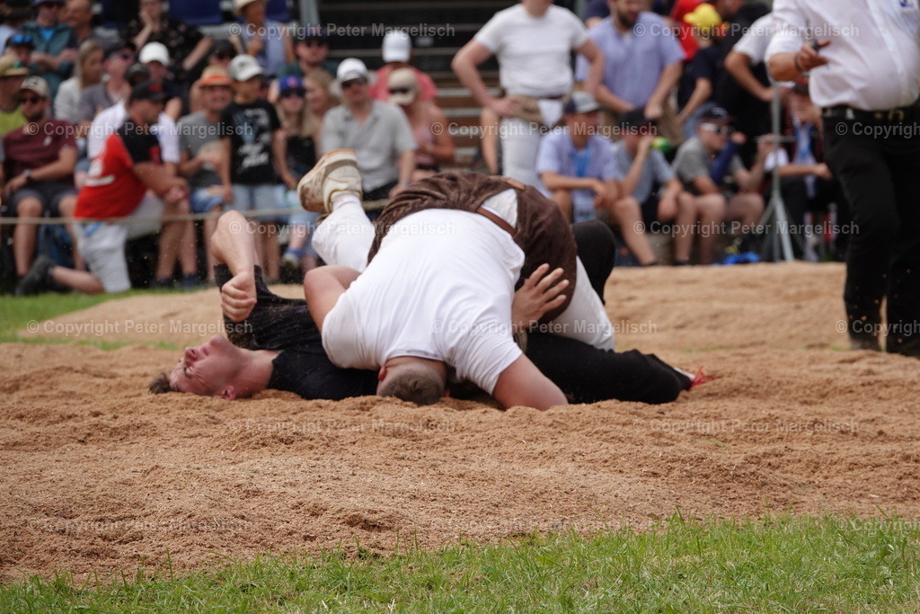 DSC01238 | Schwingen - Realisiert mit Pictrs.com