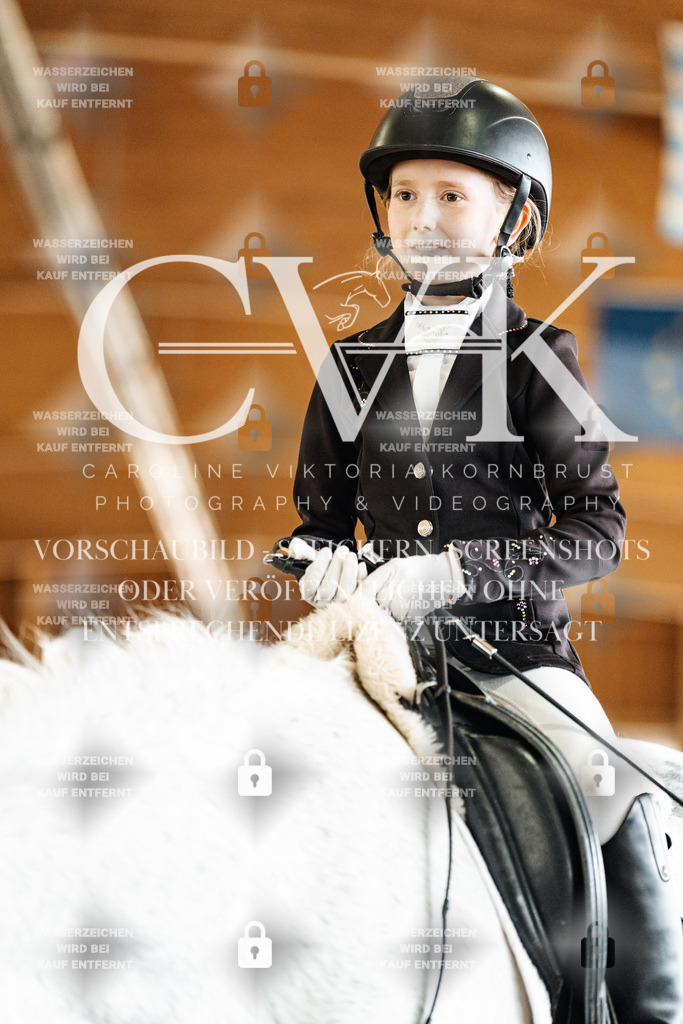 CK900443 | Turnierfotografie Pferdefotografie Trier Rheinland-Pfalz Pferdesport Reitsport Tierfotografie Sportfotografie Pferdevideo Pferdevideografie Equestrianvideography equestrianphotography  - Realisiert mit Pictrs.com