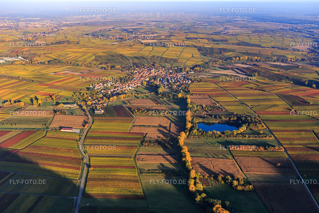 Ortsansicht hinter dem Naturschutzgebiet Biotopweiher alte Tongrube | Luftbild: Ortsansicht hinter dem Naturschutzgebiet Biotopweiher alte Tongrube in Göcklingen im Bundesland Rheinland-Pfalz in Deutschland. Foto: IMG_095749.jpg vom 30.10.2016 durch Werner Riehm/FLY-FOTO.de - Realisiert mit Pictrs.com