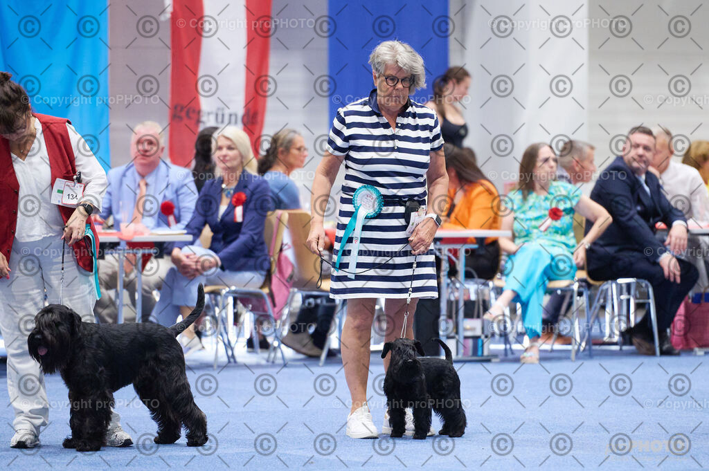 202406_ÖKV-IHA-Tulln24_DSC_2909 | proPHOTO - Realisiert mit Pictrs.com