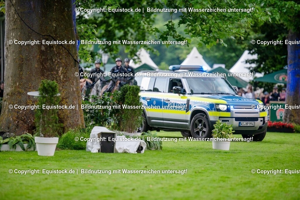 20250606_Lange-Pferdenacht_0683 | Foto: Thomas Hartig