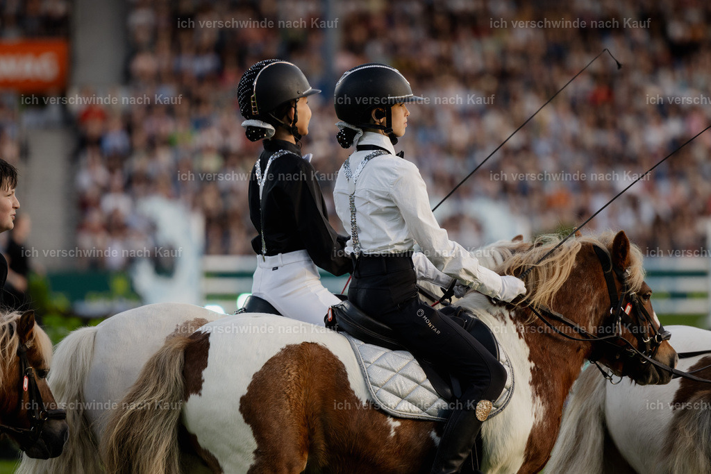 TSCHIO26_PferdundSinfonie_Stoibphotography_AM10790.jpg | working equitationturnier fotograf videograf stoibphotography marixx film working equitation deutschland reitsport turnierfotografie eventfotografie equestrian events