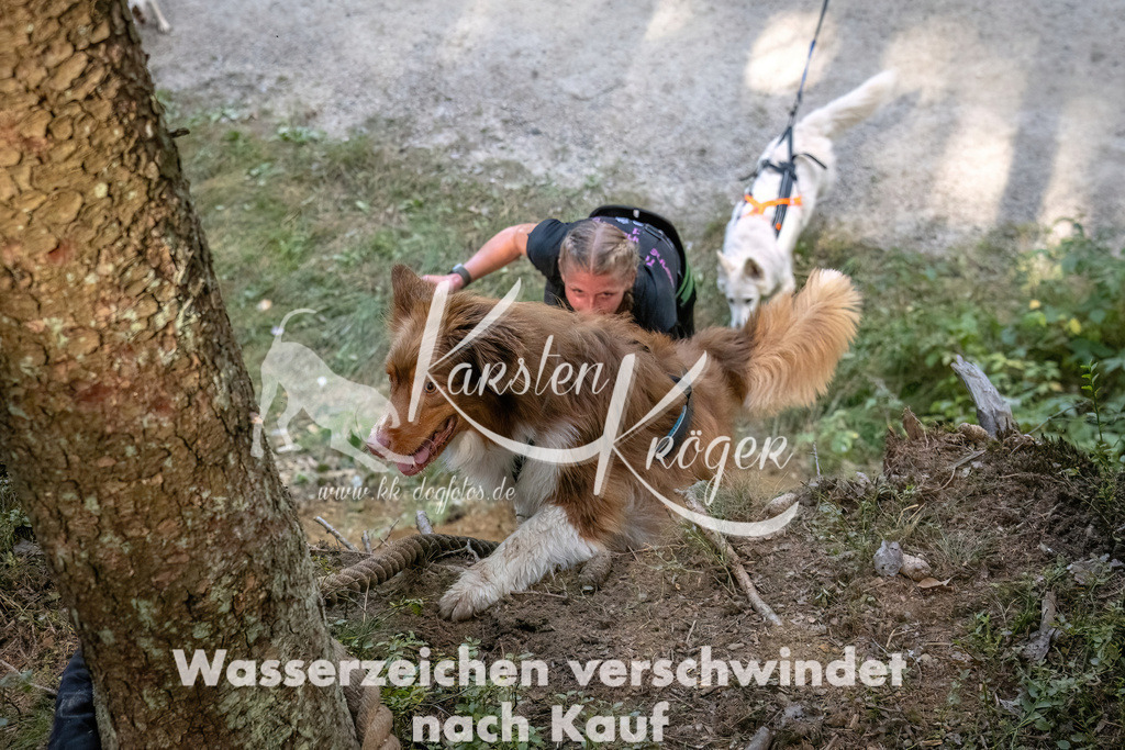 1052_ZZ93171 | kk-dogfotos