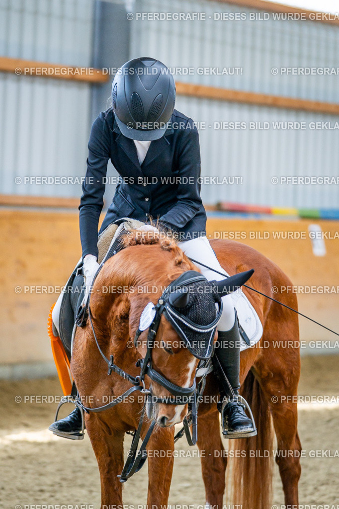 DSC03825 | Pferdegrafie