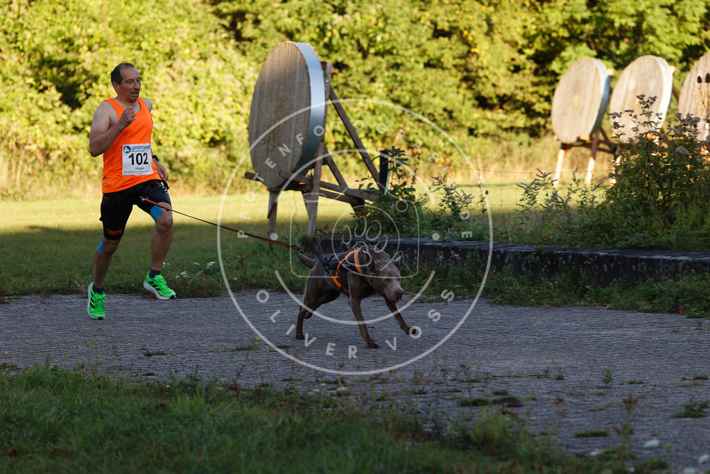 0L8A4709 | Hundefotografie, Tierfotograf, Pfotenfotografie, Fotoshooting Hund, Hunde Portrait, Hundesport, Hundeportraits, Heideshooting, Hunde, Sportfotograf, Hundefotograf, Turnierhundsport, THS,  - Realisiert mit Pictrs.com