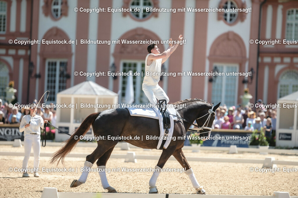 20230528_Voltigieren_NASPA_0065 | equistock