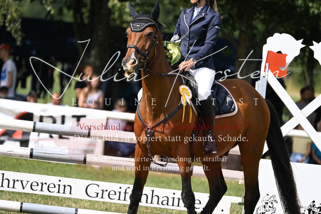 DSC_0689 | Pferde- und Turnierfotografie in Westsachsen. Pferdeportraits, Auftragszeichnungen und intuitive Kunst.