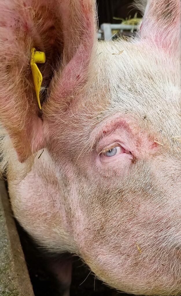 PSX_20221113_232719 | mtkfoto_ - Realisiert mit Pictrs.com