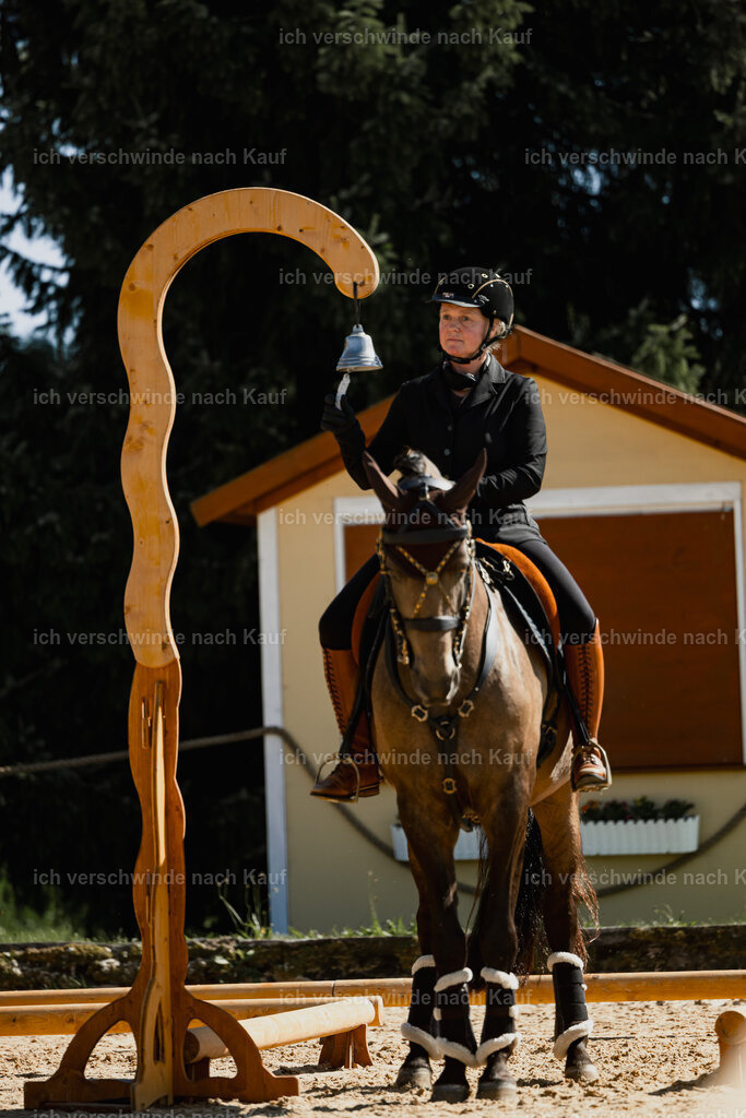 Katja7_FHC2025-27497 | working equitationturnier fotograf videograf stoibphotography marixx film working equitation deutschland reitsport turnierfotografie eventfotografie equestrian events