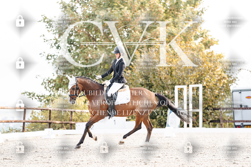 CK900446 | Turnierfotografie Pferdefotografie Trier Rheinland-Pfalz Pferdesport Reitsport Tierfotografie Sportfotografie Pferdevideo Pferdevideografie Equestrianvideography equestrianphotography  - Realisiert mit Pictrs.com