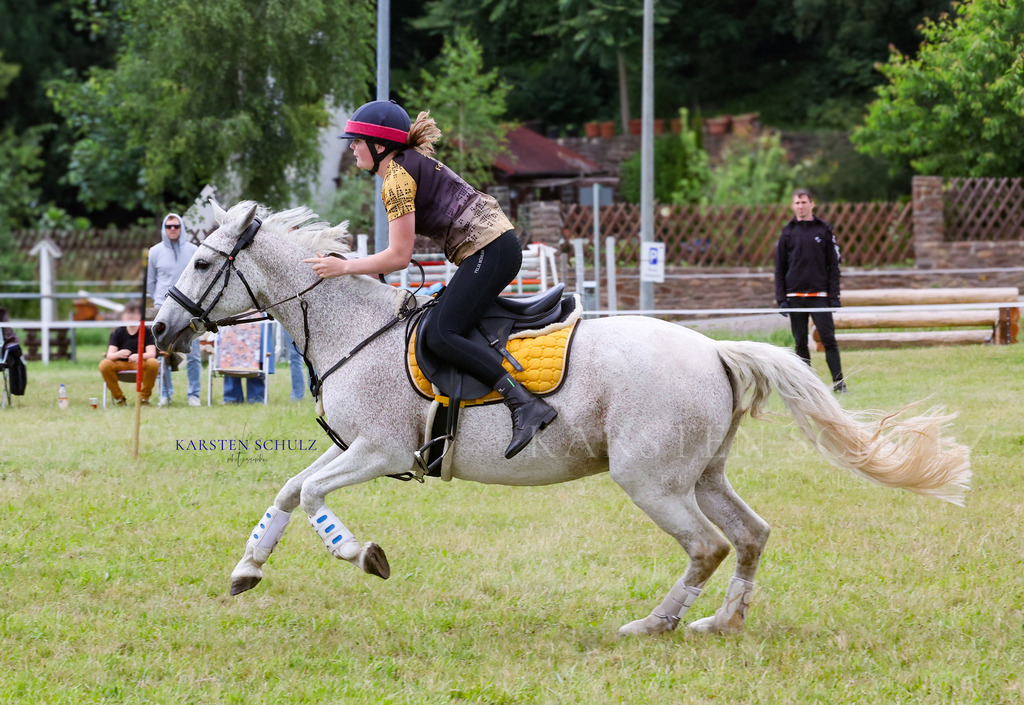 1B3A0898 | Reitsport Reiten