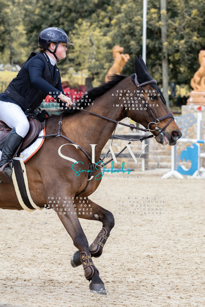 IMG_5056 | s-jay-photography - Realisiert mit Pictrs.com