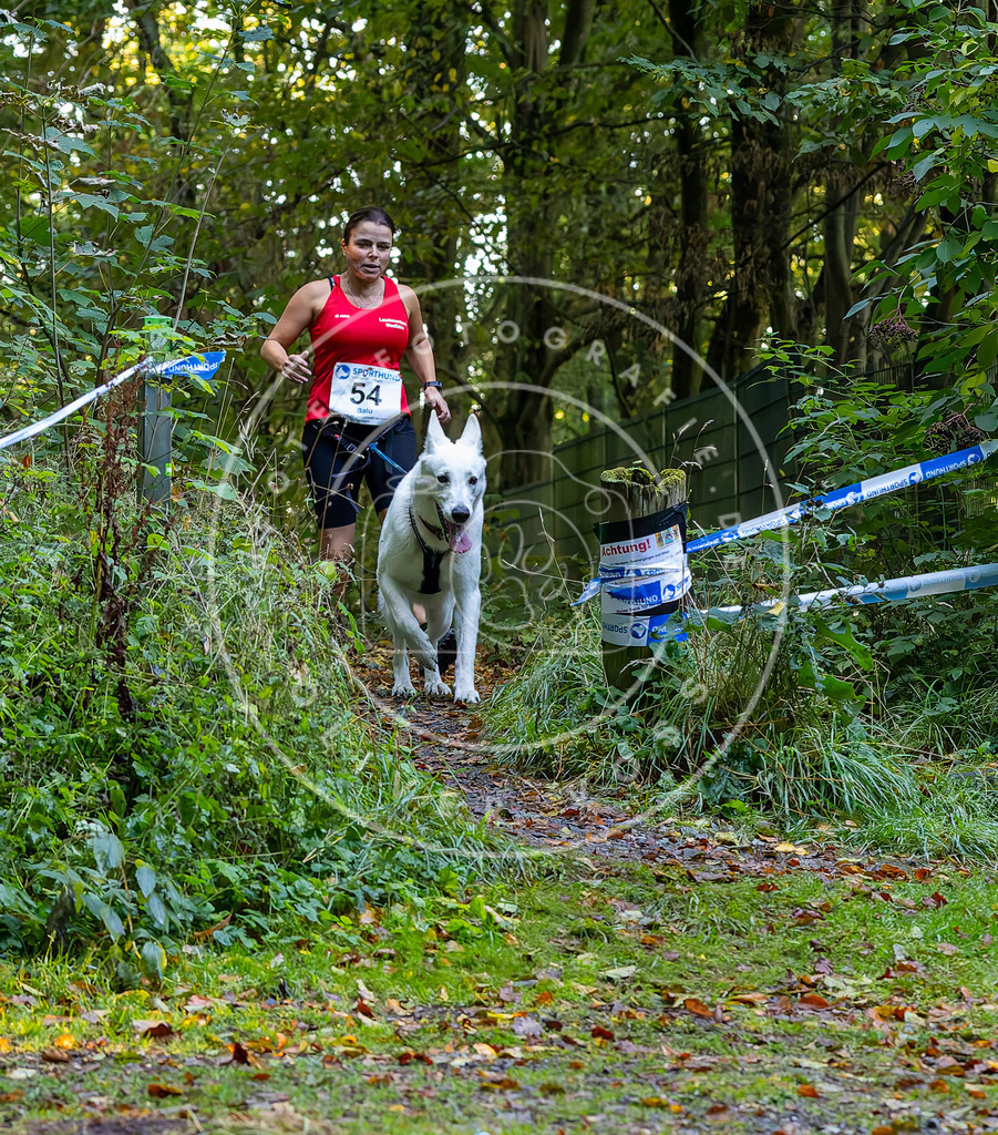 Pfotenfotografie_DV3A7053 | Hundefotografie, Tierfotograf, Pfotenfotografie, Fotoshooting Hund, Hunde Portrait, Hundesport, Hundeportraits, Heideshooting, Hunde, Sportfotograf, Hundefotograf, Turnierhundsport, THS,  - Realisiert mit Pictrs.com