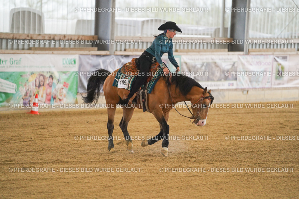 DSC09794 | Pferdegrafie