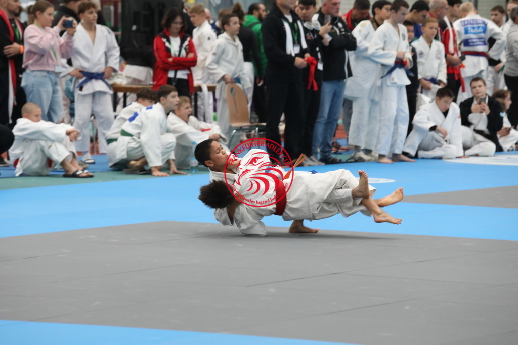 1J7A2937 | Fotos vom Adler Cup - Pictures from Adler Cup

Hier findet Ihr alle Eindrücke und großen Momente der Adler Cup Wochenenden. Here you will find all impressions and great moments of the Adler Cup weekends. - Realisiert mit Pictrs.com