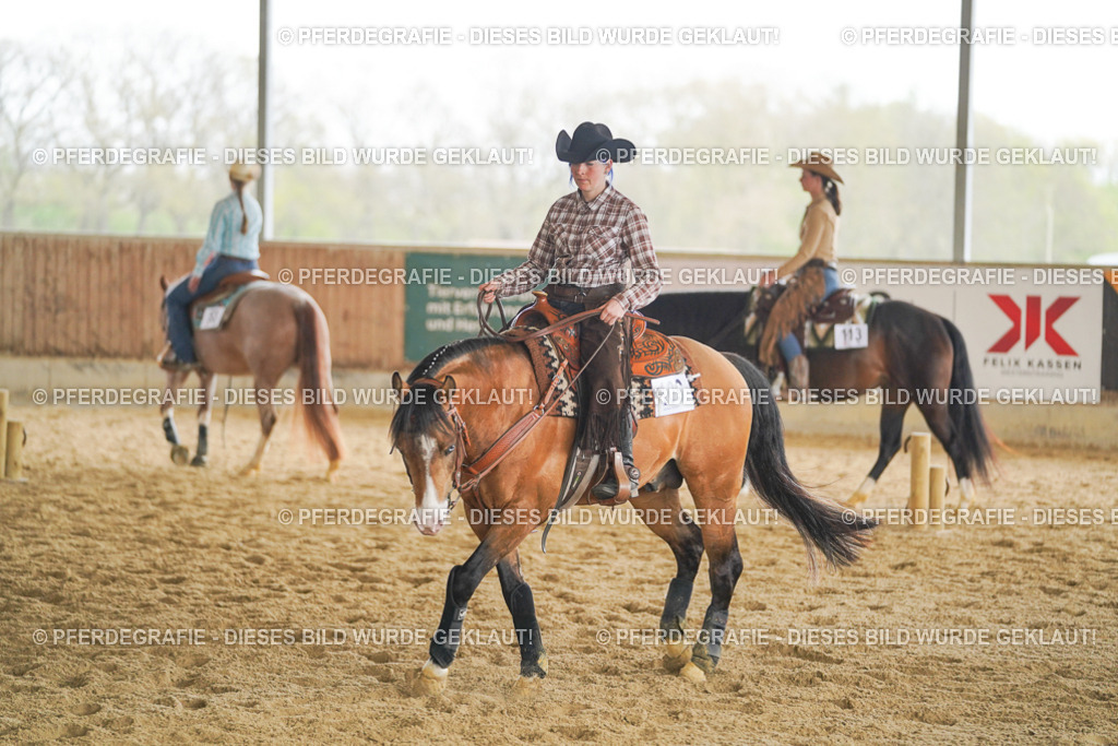 DSC05572 | Pferdegrafie