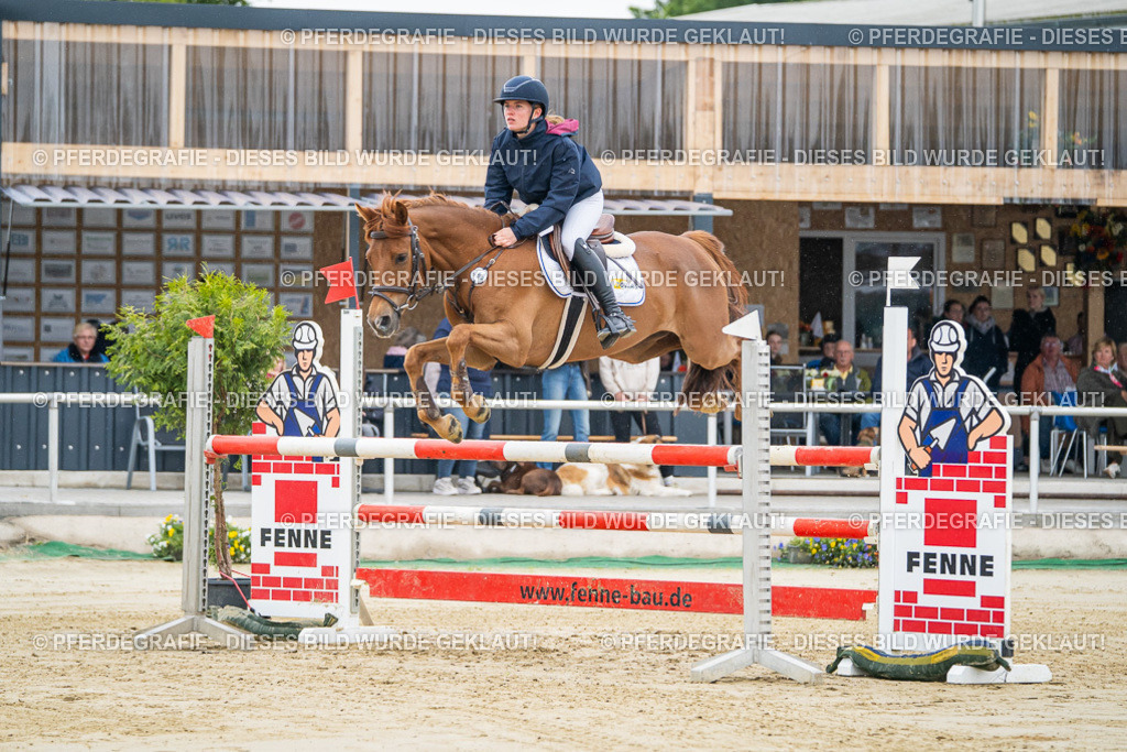 DSC01160 | Pferdegrafie