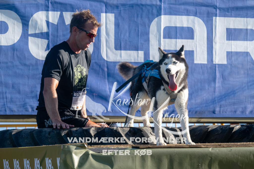 0830_ZZ93928 | kk-dogfotos