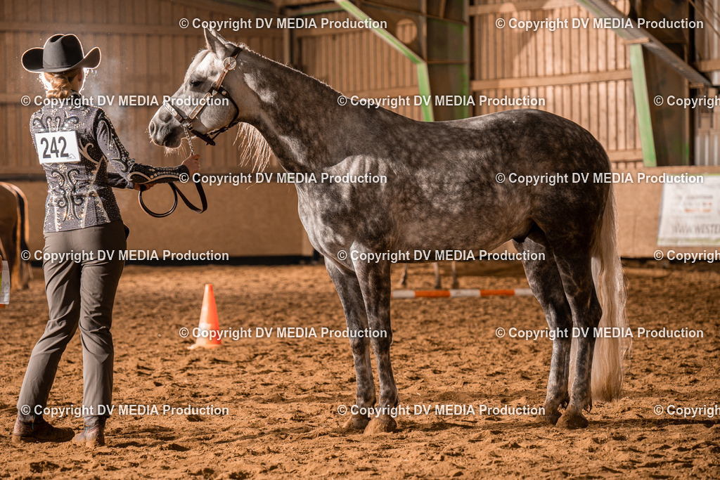 BAL01266 | dv-media-shop - Realisiert mit Pictrs.com