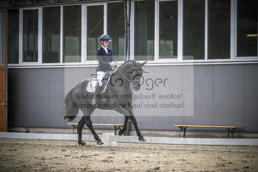 DOS_2104 | Entdecke hochwertige Reitturnierfotos von Foto Oger. Professionell, emotional und authentisch – jetzt Lieblingsmomente im Shop bestellen.Deutschlandweite Turnierfotografie. - Realisiert mit Pictrs.com