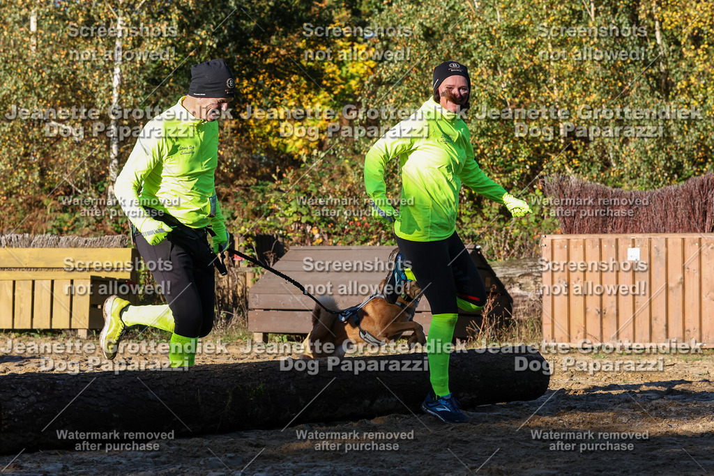 Dog Paparazzi - Strongdog 10-25-1267 | Dog Paparazzi Jeanette Grottendiek Fotografie & Videografie - Realisiert mit Pictrs.com