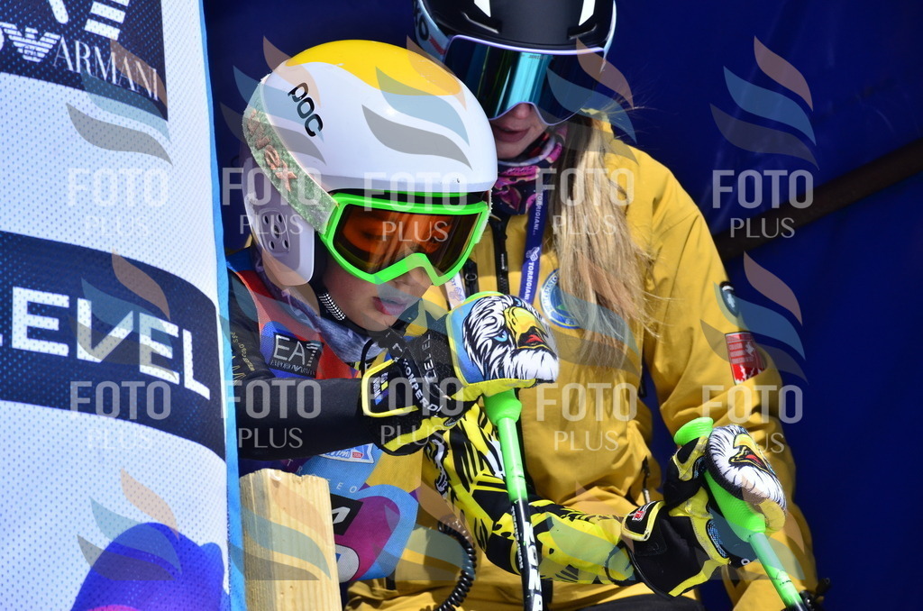 _ELE1335 | holidayphoto