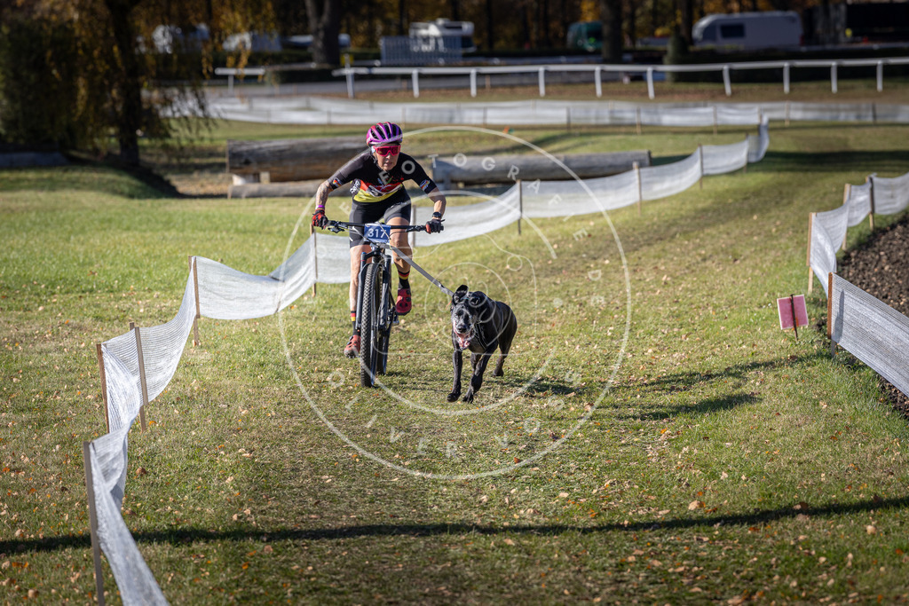 CaniXpix_DV3A6430 | Hundefotografie, Tierfotograf, Pfotenfotografie, Fotoshooting Hund, Hunde Portrait, Hundesport, Hundeportraits, Heideshooting, Hunde, Sportfotograf, Hundefotograf, Turnierhundsport, THS,  - Realisiert mit Pictrs.com