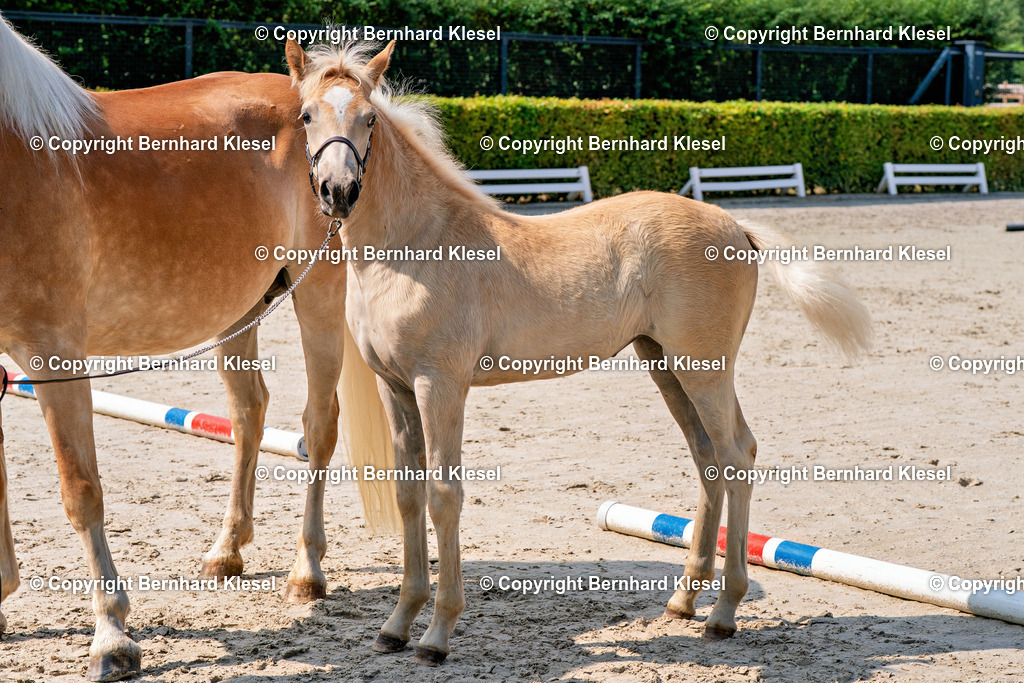 2A909593 | foto-team-bernhard - Realisiert mit Pictrs.com