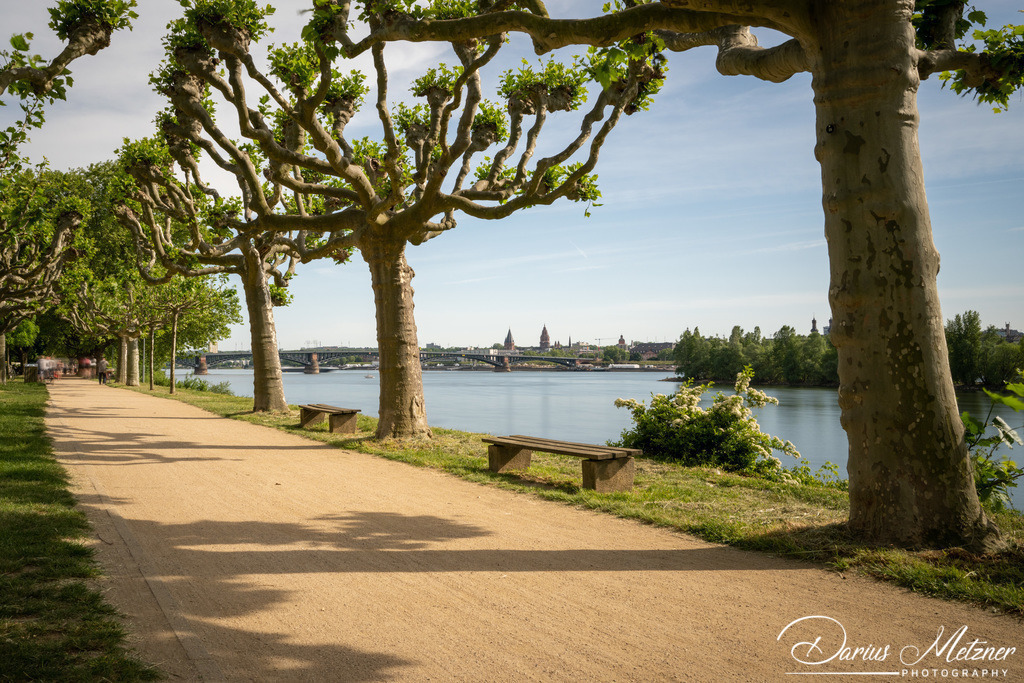 _DSC0013 | Fotografien, Fotos und Bilder aus Mainz, Frankfurt, Wiesbaden und anderen Orten auf der Welt - Fotografiert von Darius Metzner