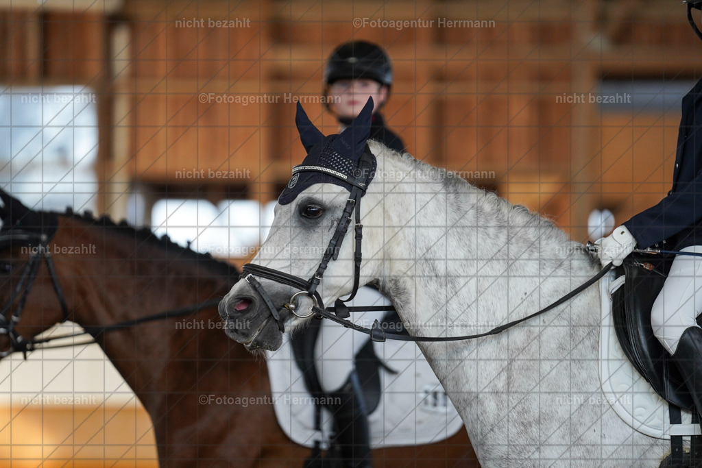 20240824-FAH06995 | Thierhaupten 2024, Bayerisches Landesponyturnier, Turnierbilder, Ponybilder, Turnierfotografen Bayern, Fotoagentur Herrmann
