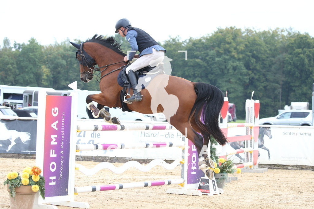 DL2Q4682 | Willkommen bei Brunnmayr - Design & Fotografie – Ihrem Spezialisten für Reitturniere und Pferdeveranstaltungen in Oberösterreich, Salzburg und Bayern! Seit über 17 Jahren sind wir leidenschaftlich dabei.