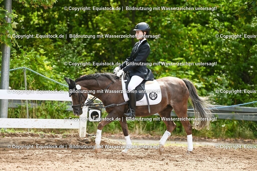 20230716_10-2_Reiter-WB Schritt - Trab - Galopp_0188 | equistock