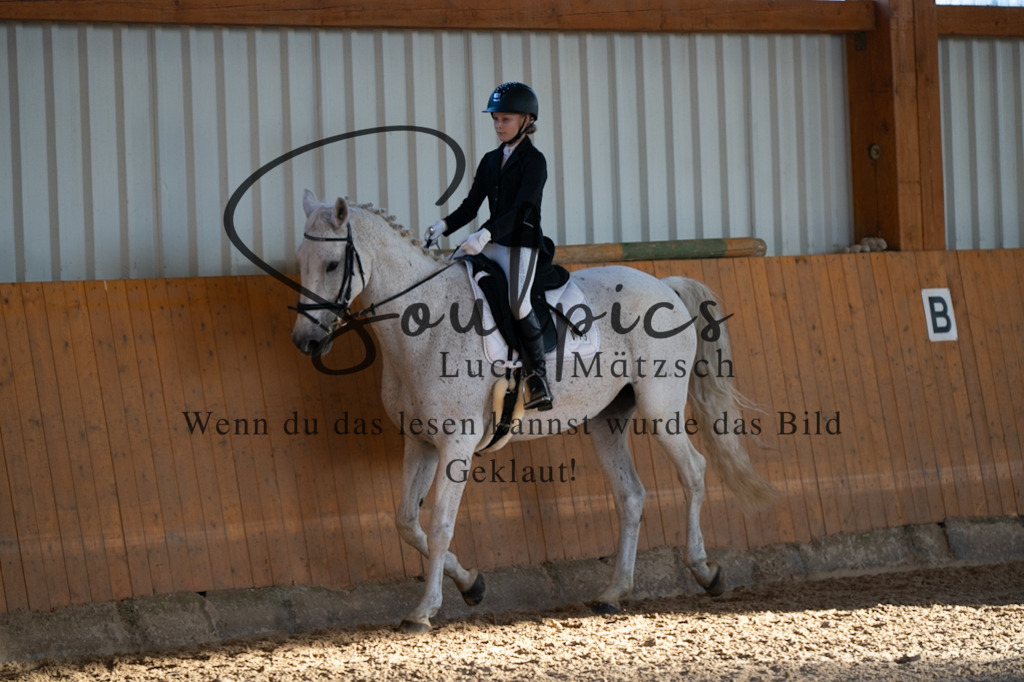 A7V01571 | Pferdefotograf