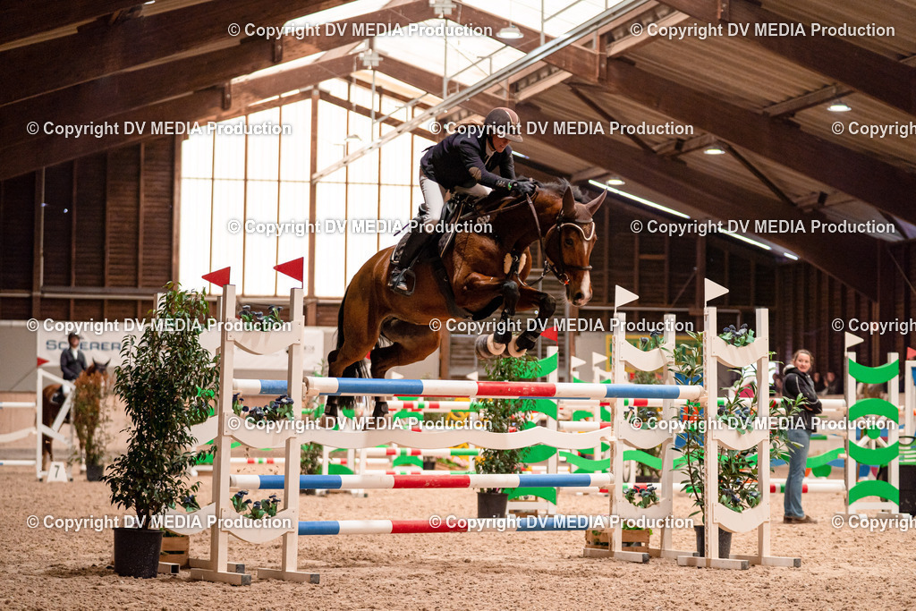 Springen Tag 3-334 | dv-media-shop - Realisiert mit Pictrs.com