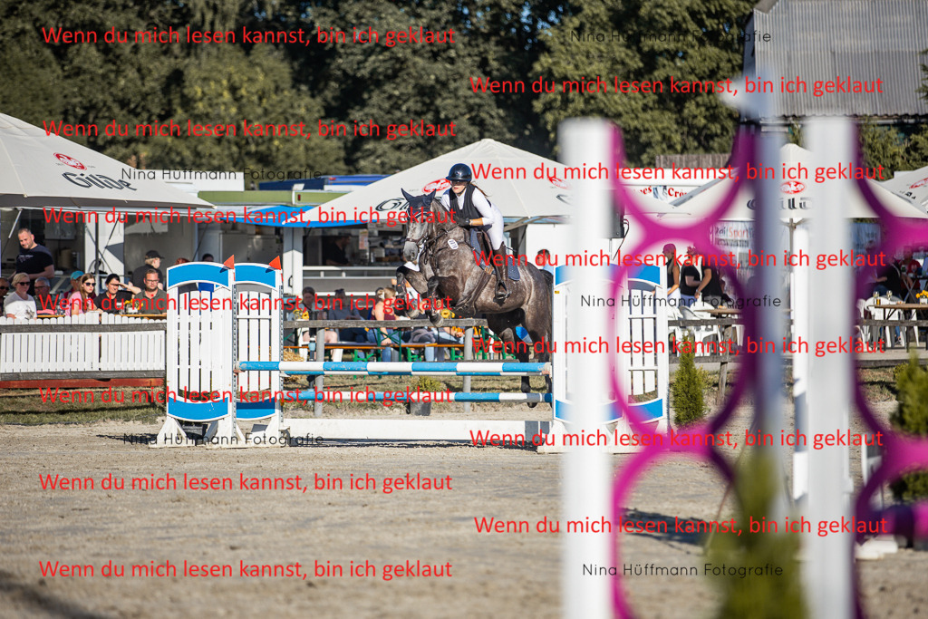 BK1A7747 | Turnierbilder Turnierfotos Nina Hüffmann Turnierfotografie Pferdefotografie Tierzeichnung Haustierzeichnung Pferdezeichnung Hundezeichnung Videograf  - Realisiert mit Pictrs.com