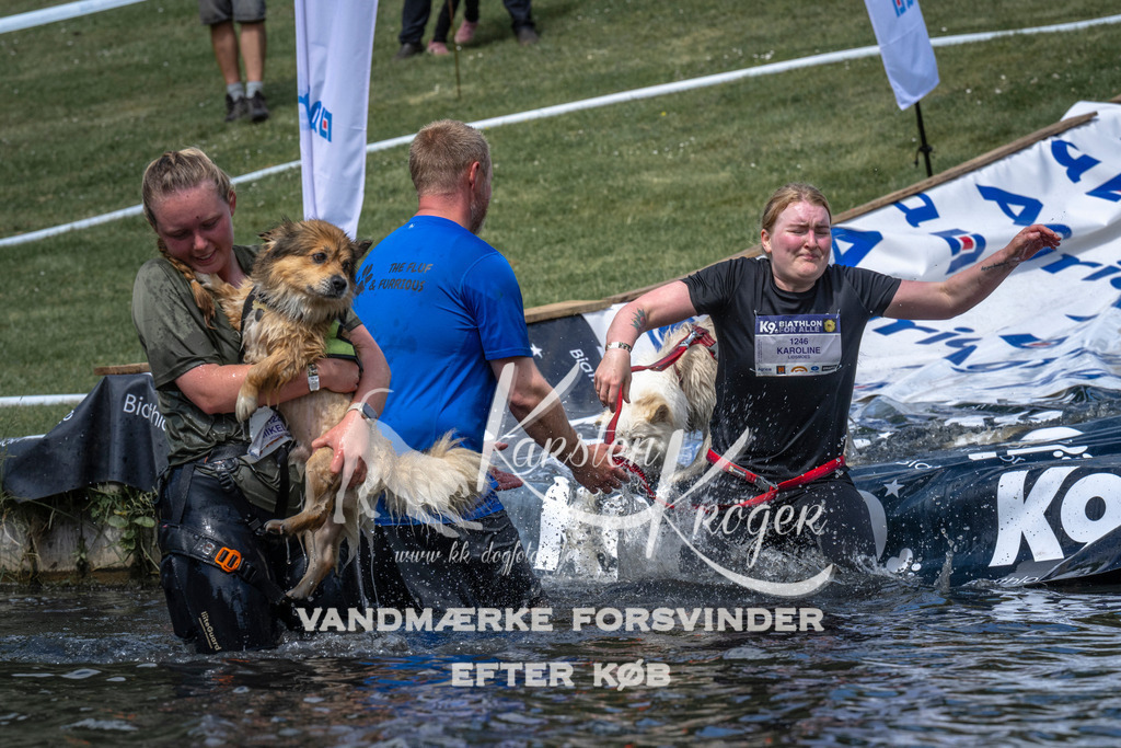 1103_ZZ90577 | kk-dogfotos
