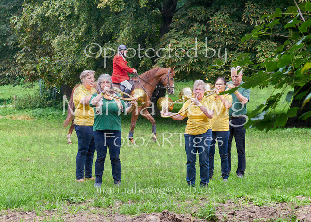 09-23 JAgd PerdölDSC01852_Marina Hewig | Fotografie, FotoArt, PferdesportArt, Pferdesportfotografie, Landschaftsfotografie, Reisefotografie, Reise, Pferde - Realisiert mit Pictrs.com