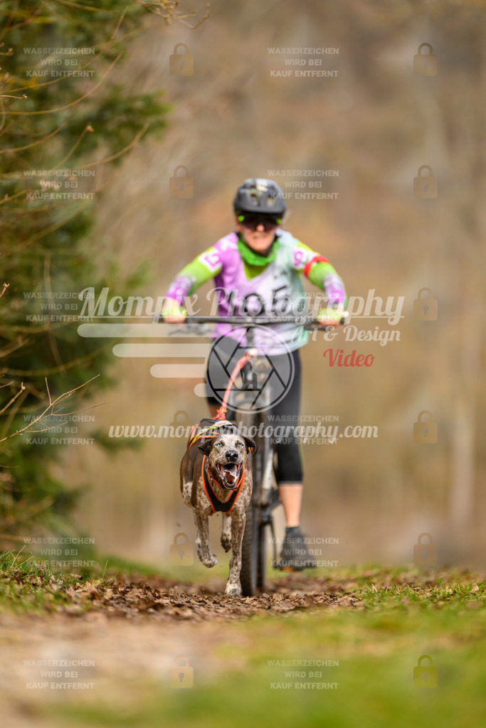 MompixPhotography_Schwabentrail2024_Bike-64 | PayLife