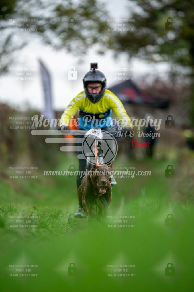 TSB_2023_E8_Bike-77 | PayLife