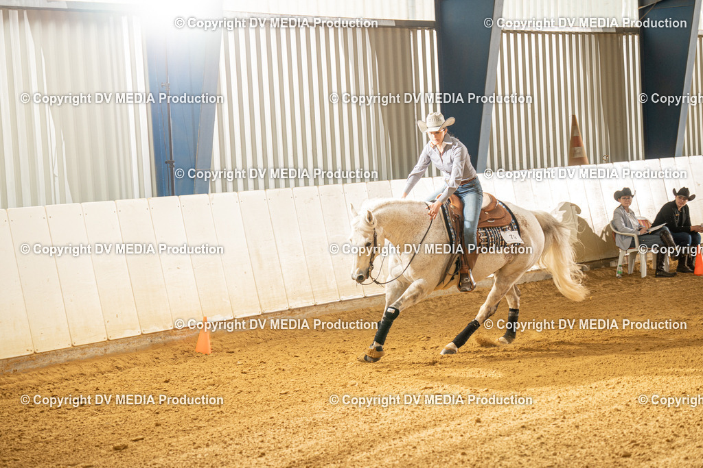 MIT00486 | dv-media-shop - Realisiert mit Pictrs.com