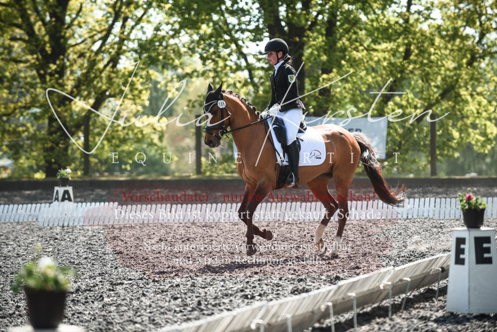 DSC_9012 | Pferde- und Turnierfotografie in Westsachsen. Pferdeportraits, Auftragszeichnungen und intuitive Kunst.
