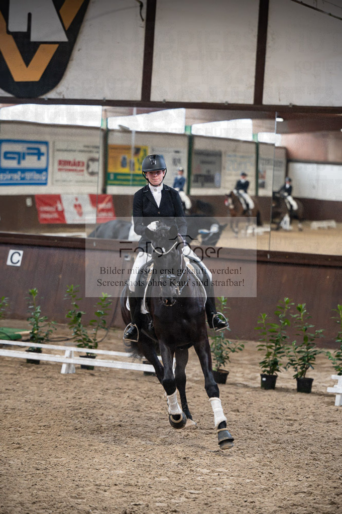 Hallenreittunier Voxtrup 2023 | Entdecke hochwertige Reitturnierfotos von Foto Oger. Professionell, emotional und authentisch – jetzt Lieblingsmomente im Shop bestellen.Deutschlandweite Turnierfotografie. - Realisiert mit Pictrs.com