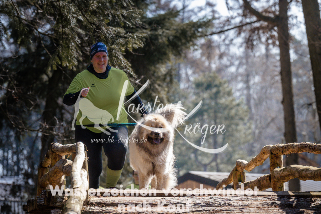 1333_ZZ95472 | kk-dogfotos