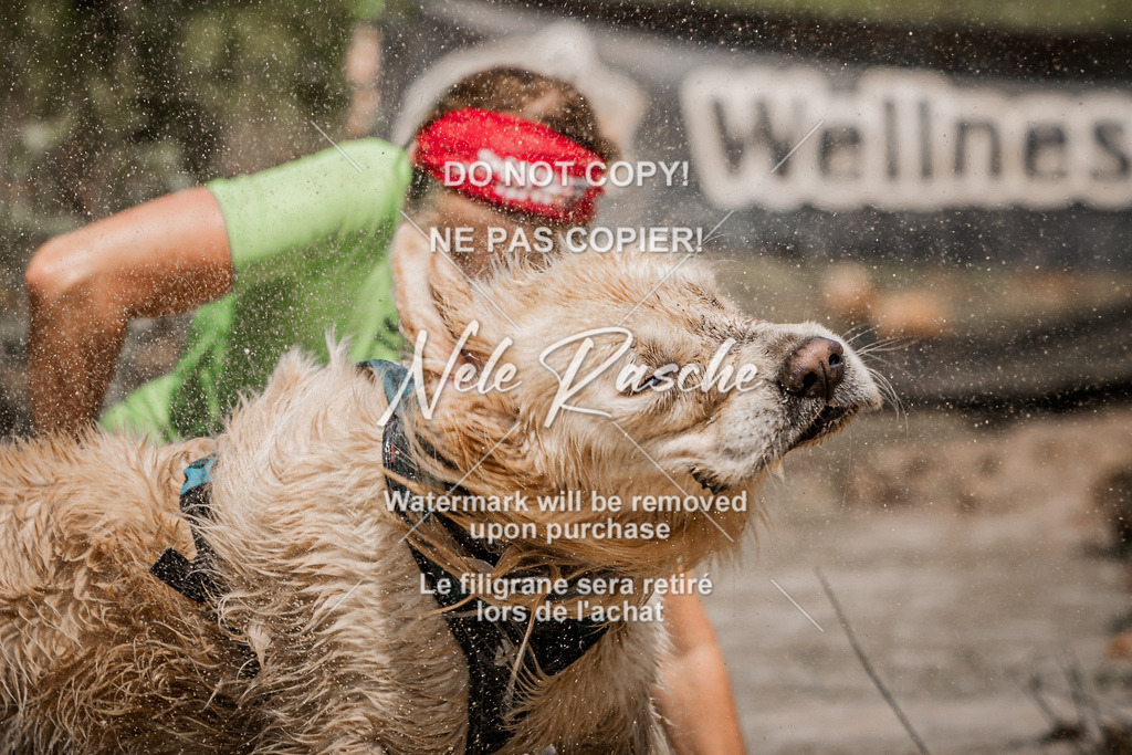 nelerasche_Hoope2026_Sa1200-1230_638 | nelerasche